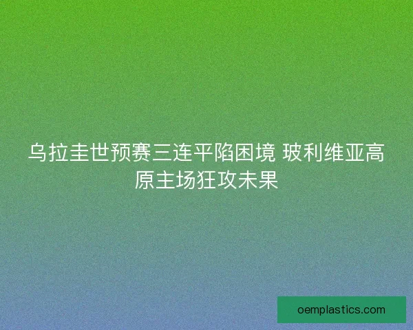 乌拉圭世预赛三连平陷困境 玻利维亚高原主场狂攻未果