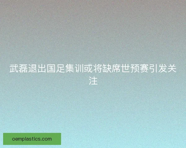 武磊退出国足集训或将缺席世预赛引发关注 武磊退出国足集训或将缺席世预赛引发关注